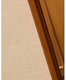 WILD THINGS | Tシャツ/カットソー