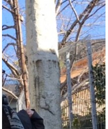 KATO` | ジャケット/アウター