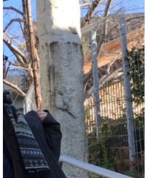 Nigel Cabourn | ジャケット/アウター