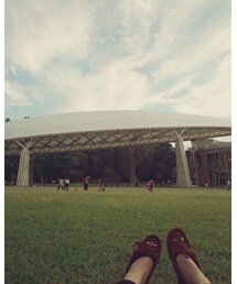 公園でゴロゴロ | その他