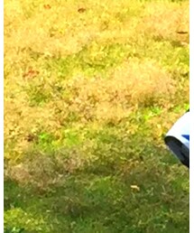 POLO RALPH LAUREN | シューケア用品