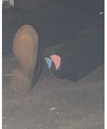 LACOSTE | ソックス/靴下