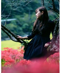 彼岸花 | その他