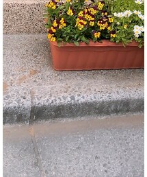 ACCOMMODE | ショルダーバッグ