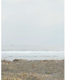 H&M | Tシャツ/カットソー