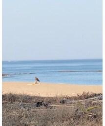 H&M | スウェット