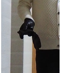 CAPRI GUANTI | 手袋