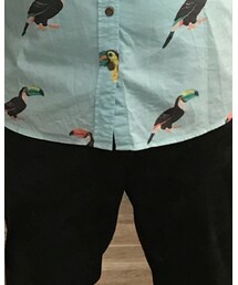 American Eagle | シャツ/ブラウス