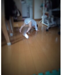 その他 | おーい(その他)