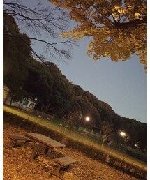 紅葉もう終わり❓ | その他