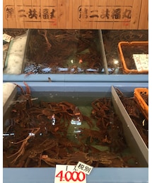 かにカニかに | その他