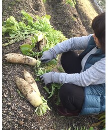 ママ♡と大根 | その他