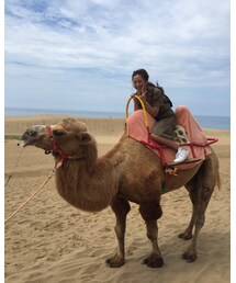 ラクダ♡さん | その他