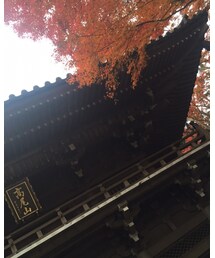 紅葉🍁 | その他