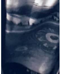 MISHKA | Tシャツ/カットソー