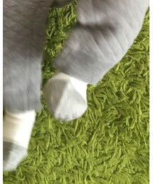 無印良品 | ソックス/靴下