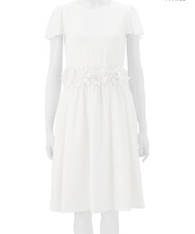 Chesty | ワンピース