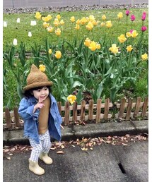 チューリップ🌷 | その他