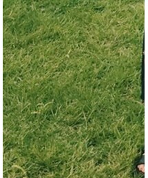 Dr. Martens | サンダル