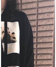 ZARA | ニット/セーター