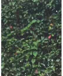 GU | ニット/セーター