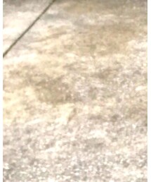 しまむら | ブーツ