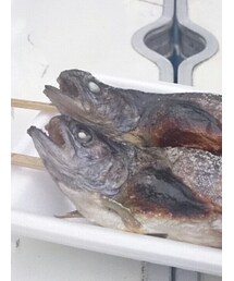 鮎の塩焼き🐟 | その他