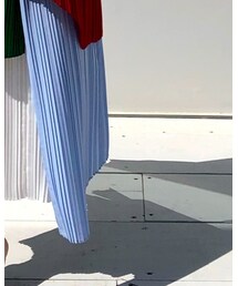 AKIRANAKA | スカート