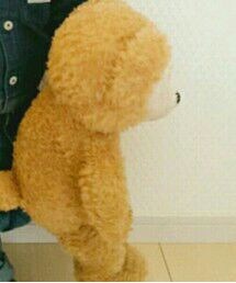 duffy | その他