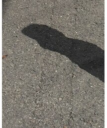 Birthday | スニーカー