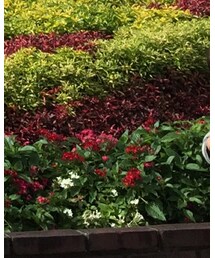 GAP | カーディガン/ボレロ