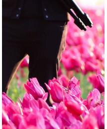 UNIQLO | チノパンツ