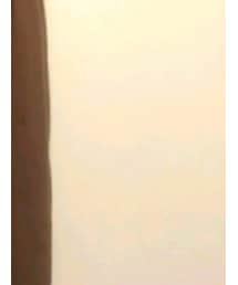 WEGO | シャツワンピース