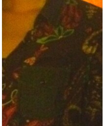 Desigual | シャツ/ブラウス