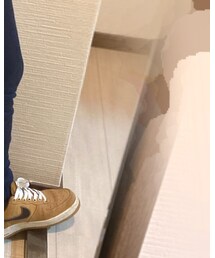 Hollister | パンツ