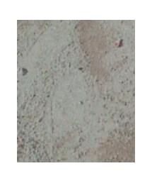 Birthday | スニーカー