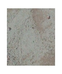 サニーランドスケープ | レギンス/スパッツ