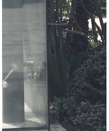 TOPSHOP | シューズ