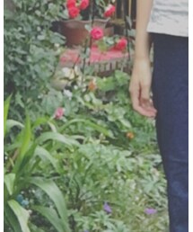 rivet & surge | その他パンツ