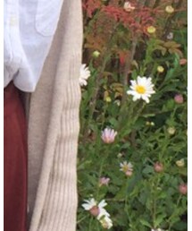 韓国 | カーディガン/ボレロ