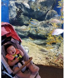 初❤️水族館 | その他