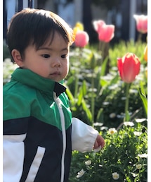 2years | その他