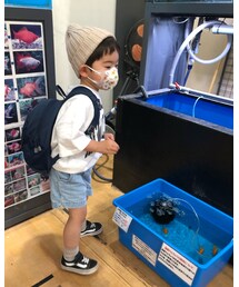 🐠❤️ | その他