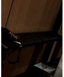 PORTER | ボディバッグ/ウエストポーチ