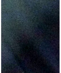 KIDILL | Tシャツ/カットソー