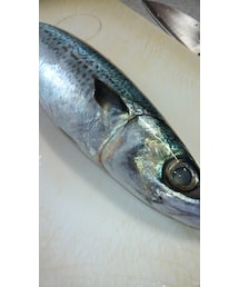 ごまさば🐟💓 | その他