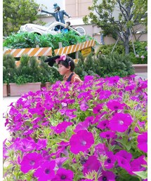 flower | その他