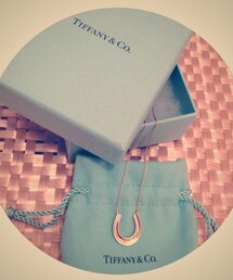 TIFFANY&Co. | TIFFANI&Co. 馬蹄モチーフネックレス(ネックレス)