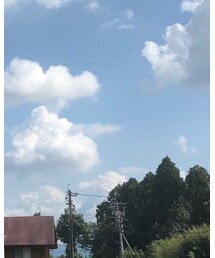 Reebok | スニーカー