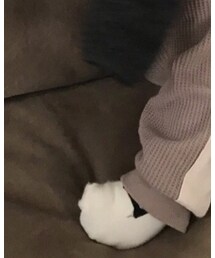 BREEZE | ソックス/靴下